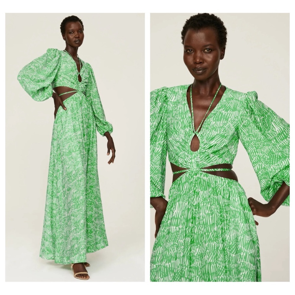 Simkhai Adelaide Cutout Mousseline Maxi Dress in Kelly Abstract Fern size XS - Picture 16 of 16